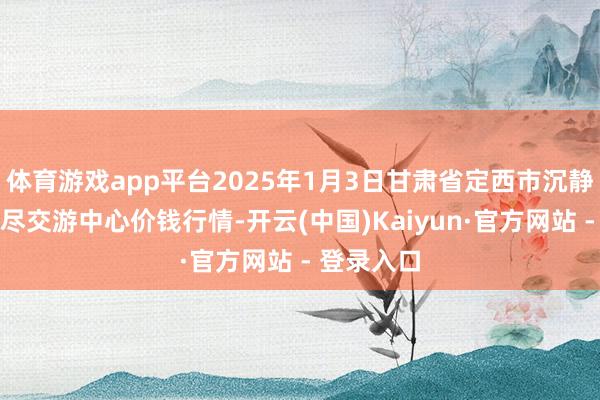 体育游戏app平台2025年1月3日甘肃省定西市沉静马铃薯详尽交游中心价钱行情-开云(中国)Kaiyun·官方网站 - 登录入口