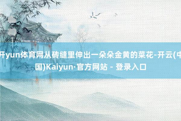 开yun体育网从砖缝里伸出一朵朵金黄的菜花-开云(中国)Kaiyun·官方网站 - 登录入口