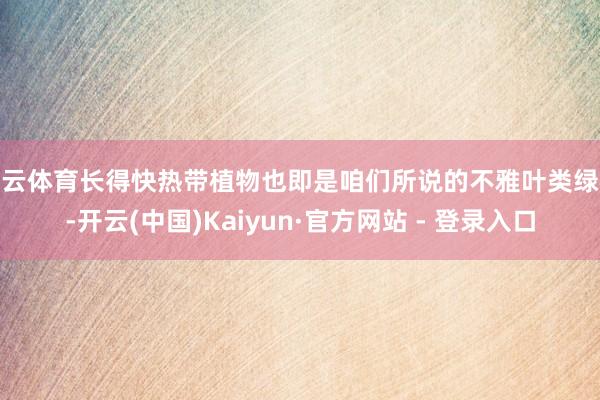 开云体育长得快热带植物也即是咱们所说的不雅叶类绿植-开云(中国)Kaiyun·官方网站 - 登录入口
